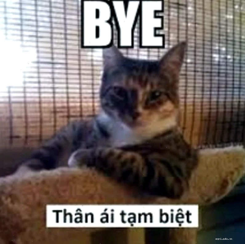 meme tạm biệt cực hài