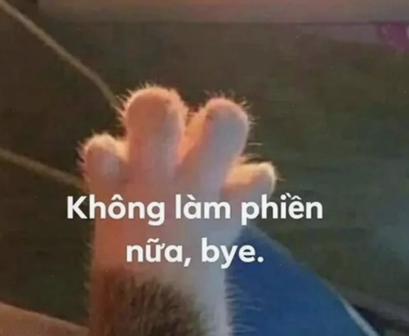 meme tạm biệt cute