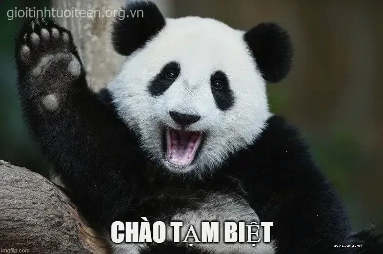 meme tạm biệt đi ngủ