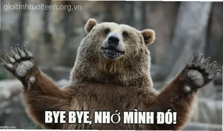 meme tạm biệt khóc lóc