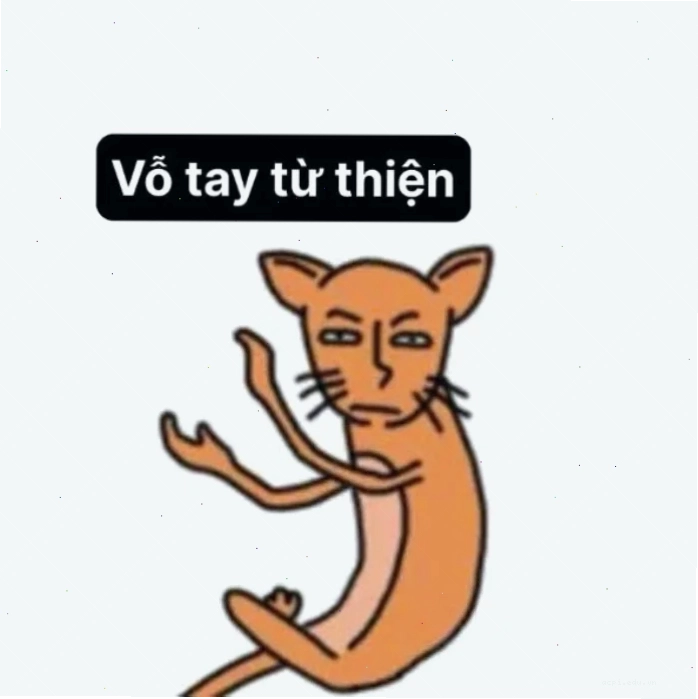 meme tán chất