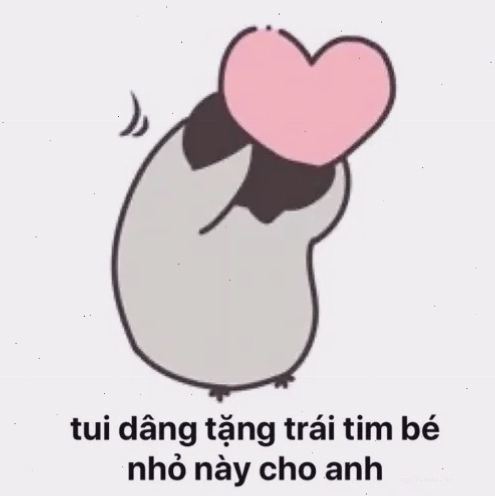 meme tán cuối cùng