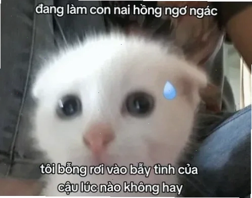 meme tán nhẹ
