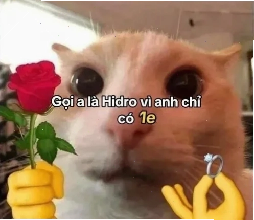 meme táng yêu