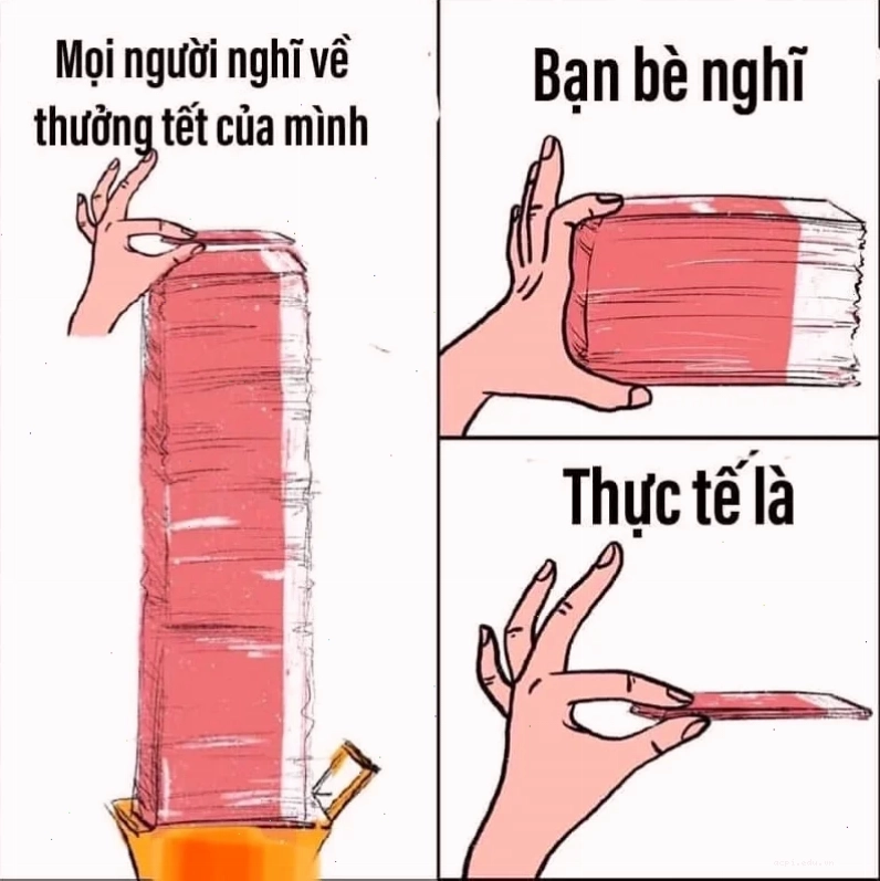 Meme tết meme mèo cực bựa