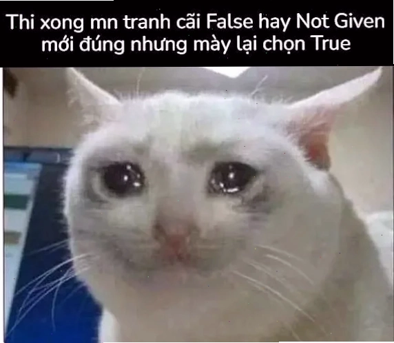meme thi cử học