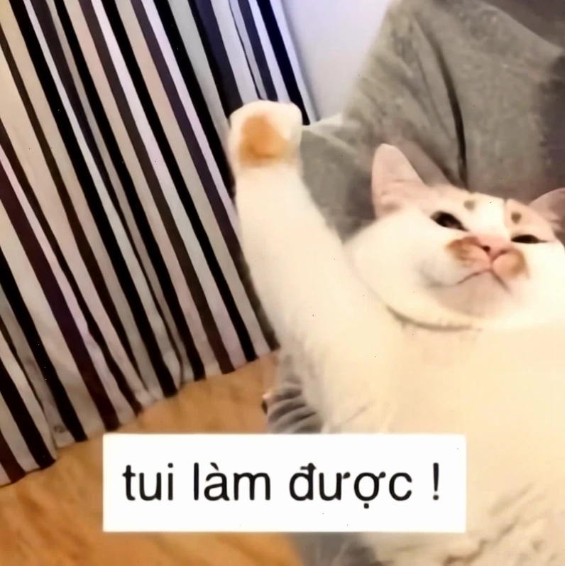 meme thi cử khi làm bài