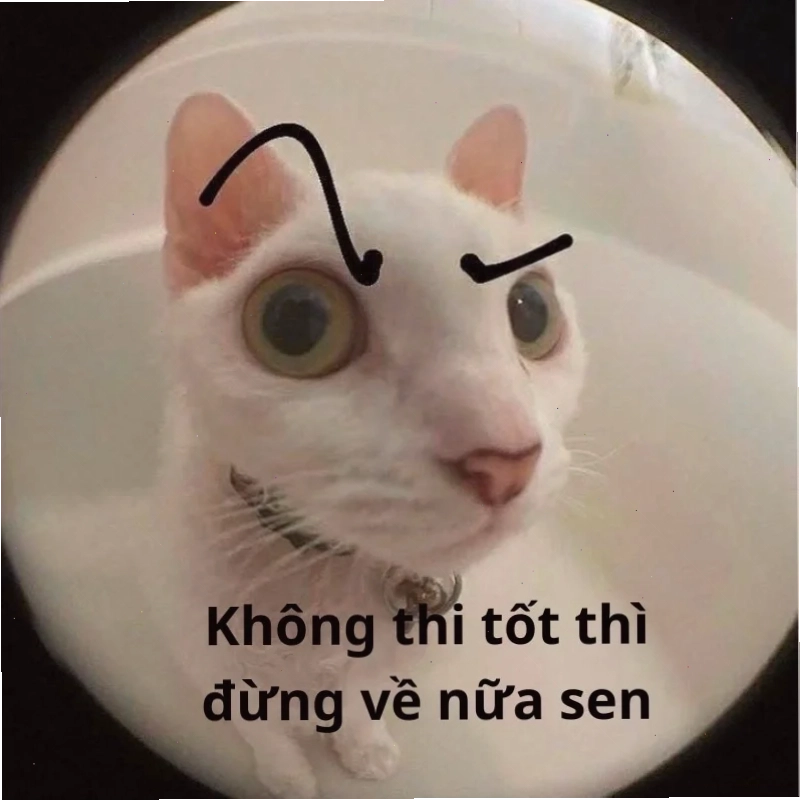 meme thi cử khi nhìn bạn