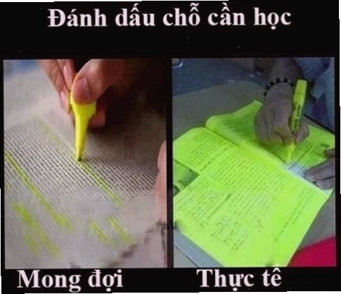 meme thi cử khi thiếu ngủ