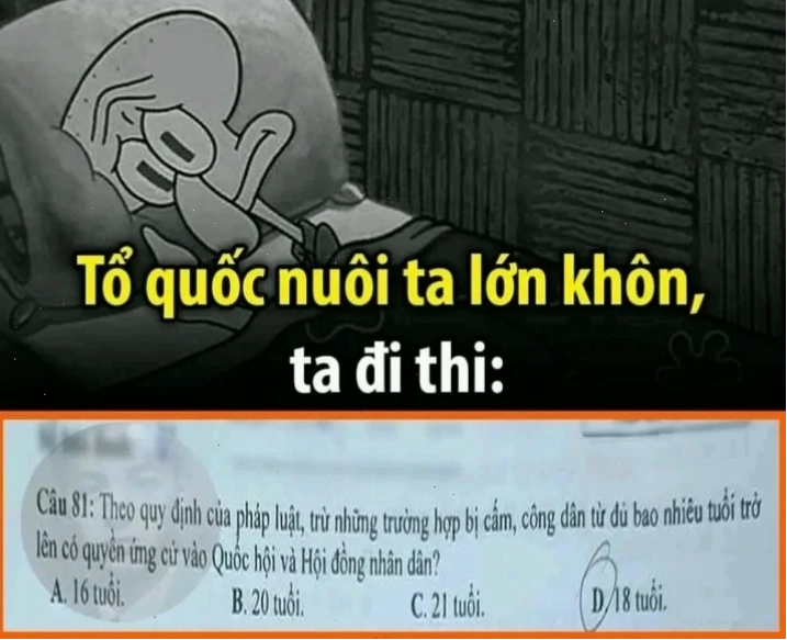 meme thi cử lúc hoảng loạn
