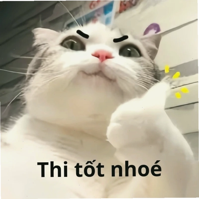 meme thi cử lúc làm bài