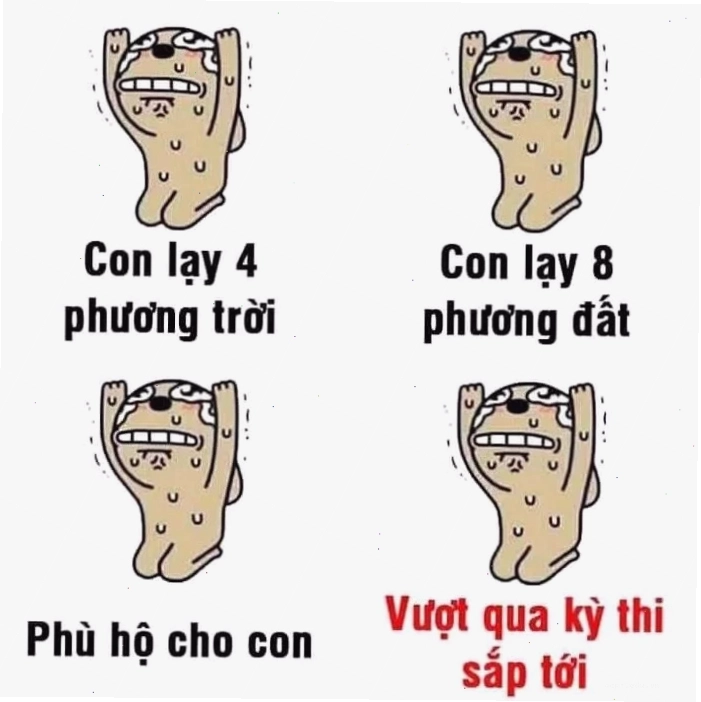 meme thi cử thi