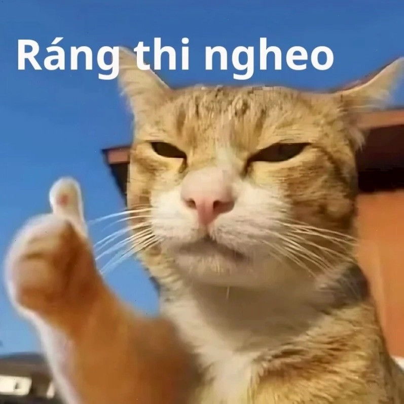 meme thi cử với nụ cười gượng