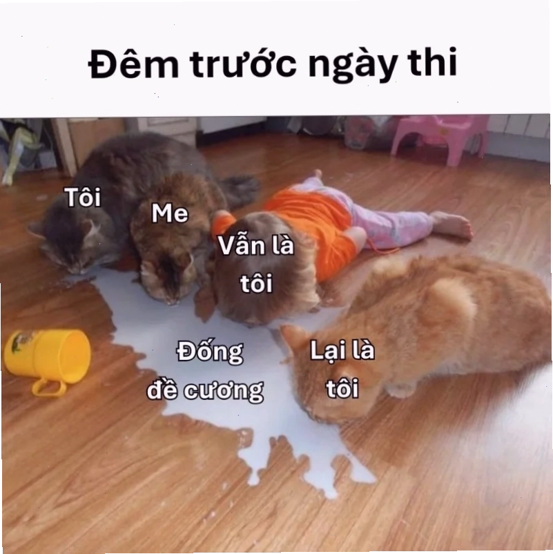 meme thi cử với thầy cô