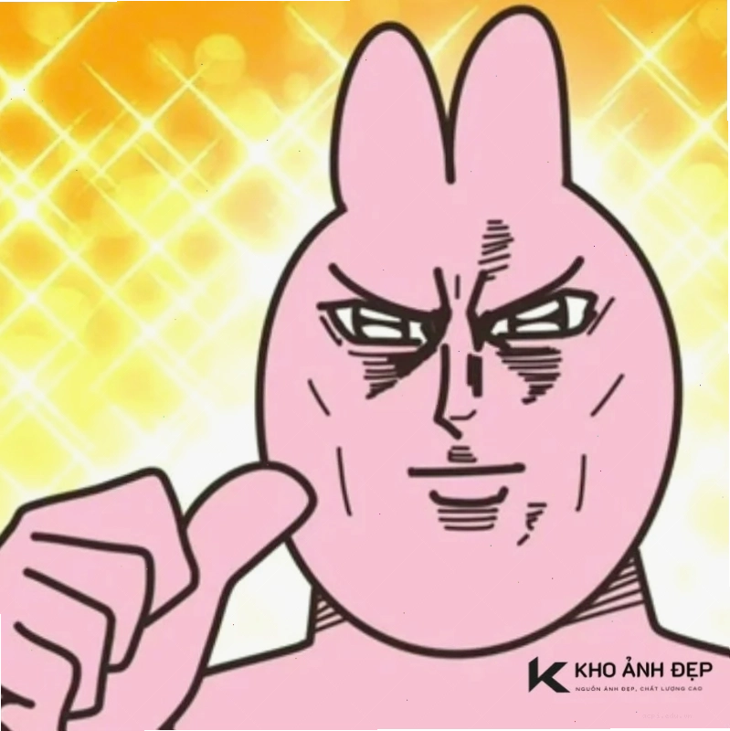 meme thỏ hồng