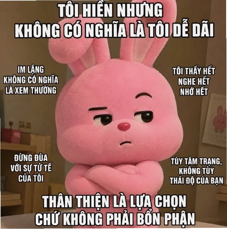 meme thỏ hồng