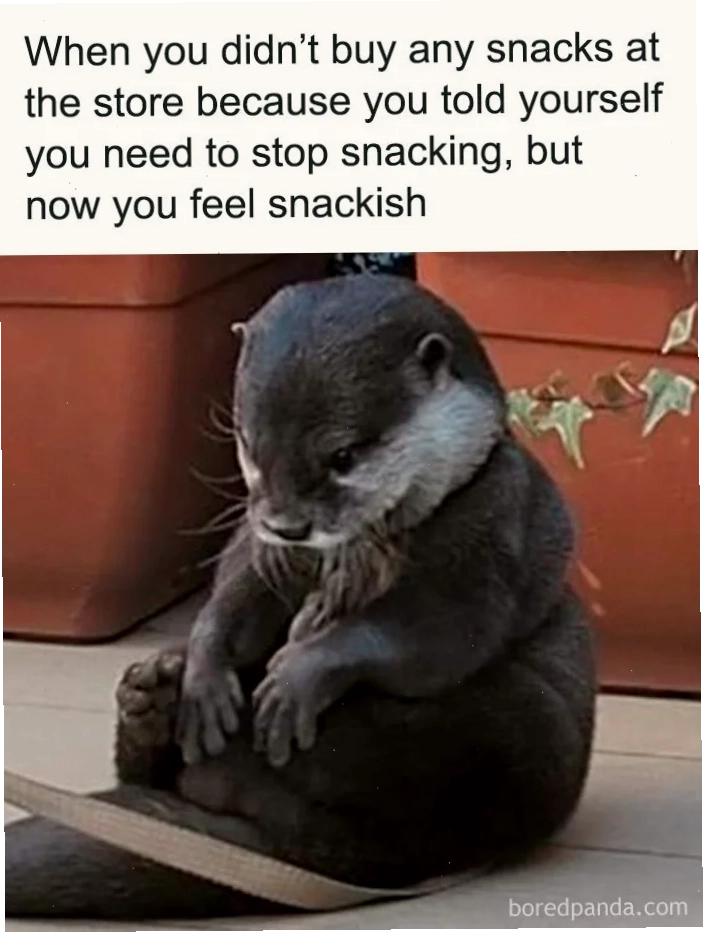 Meme thú cưng