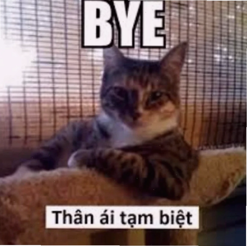 Meme thú vị