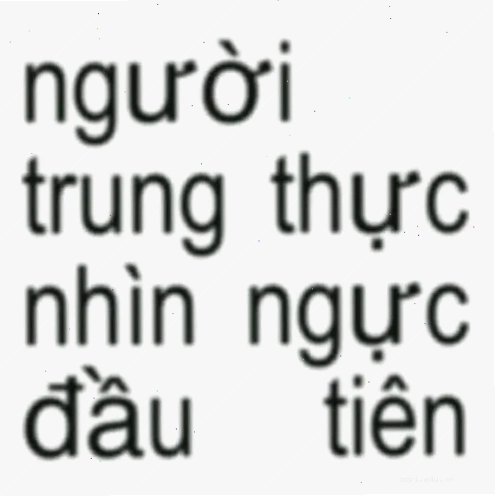 meme tiền đâu meme cuối cùng