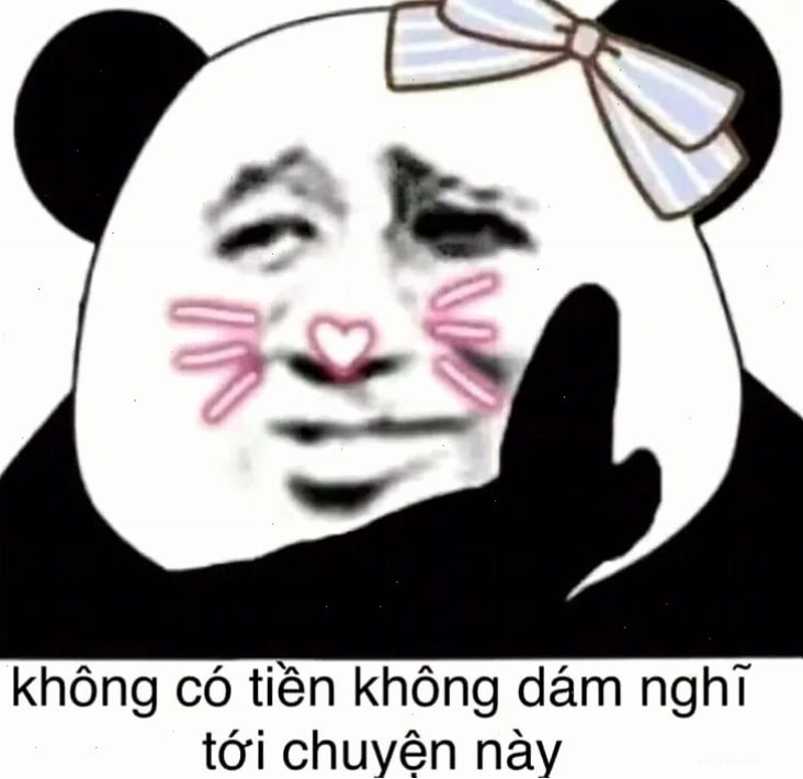 meme tiền đâu meme cute