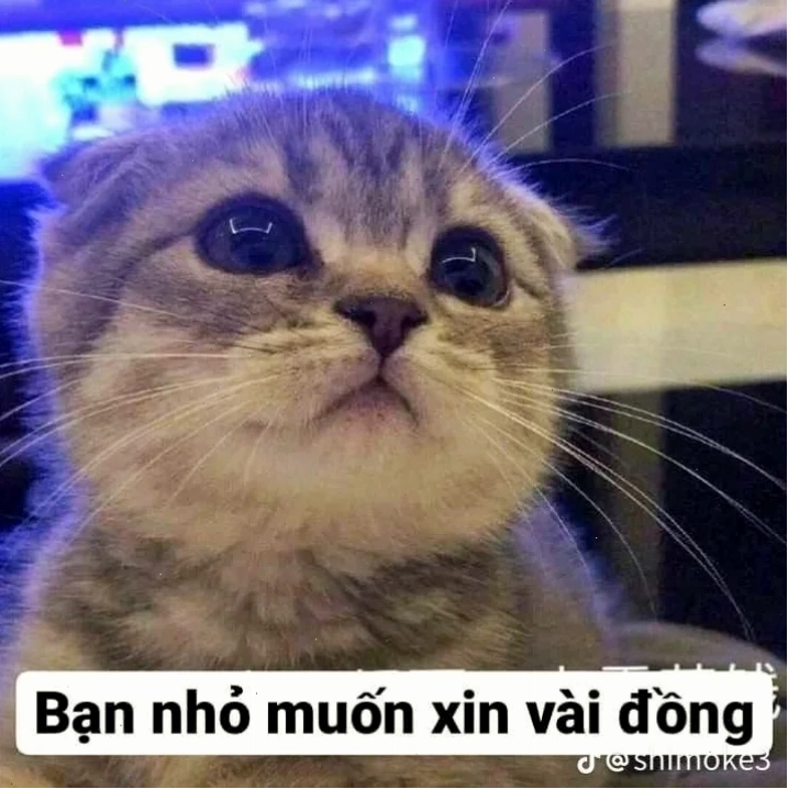 meme tiền nè bất cần