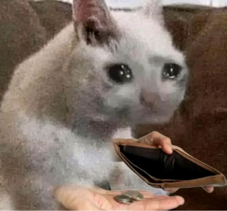 meme tiền nè bất ngờ