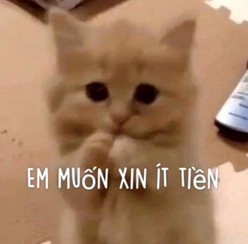 meme tiền nè kết