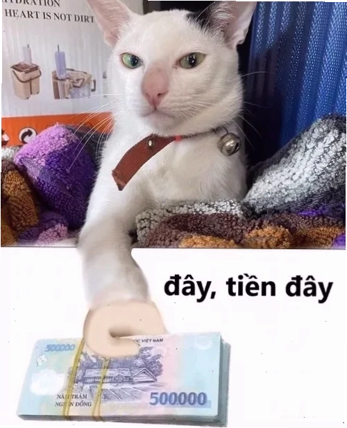 meme tiền nè nhận lương