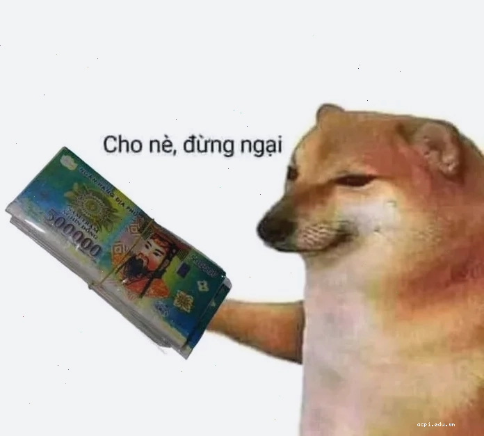 meme tiền nè tuyệt vọng