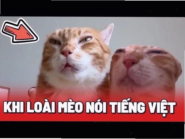 meme tiếng việt buồn
