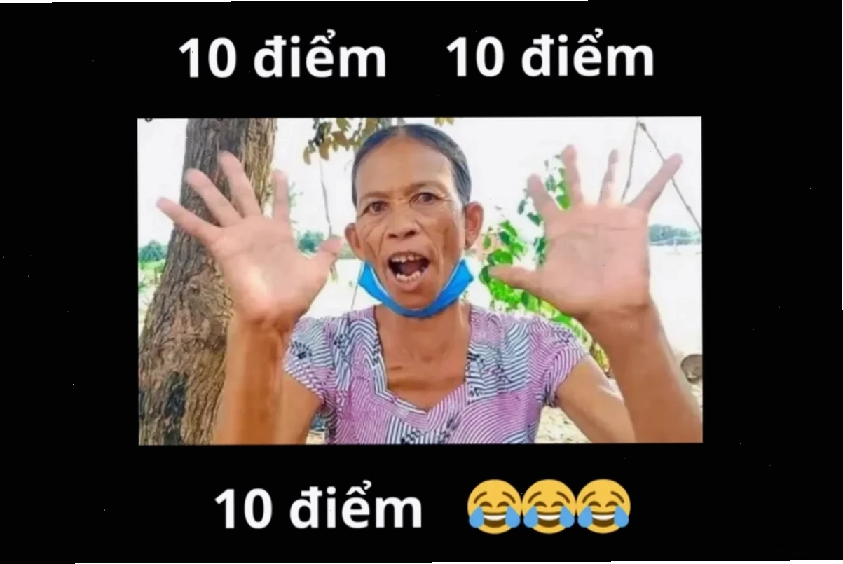 meme tiếng việt chất