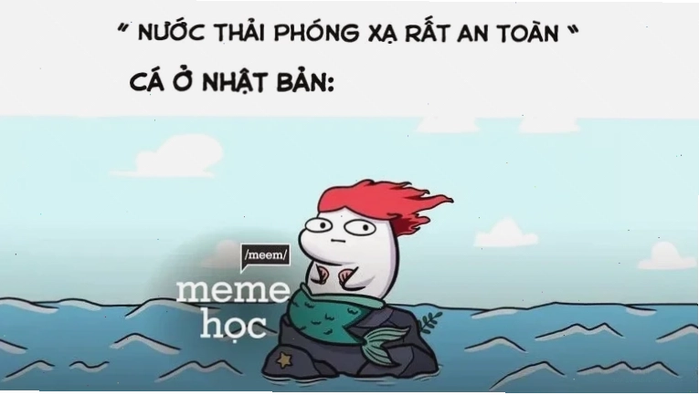 meme tiếng việt cool