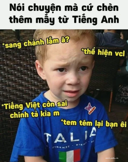 meme tiếng việt cực lầy