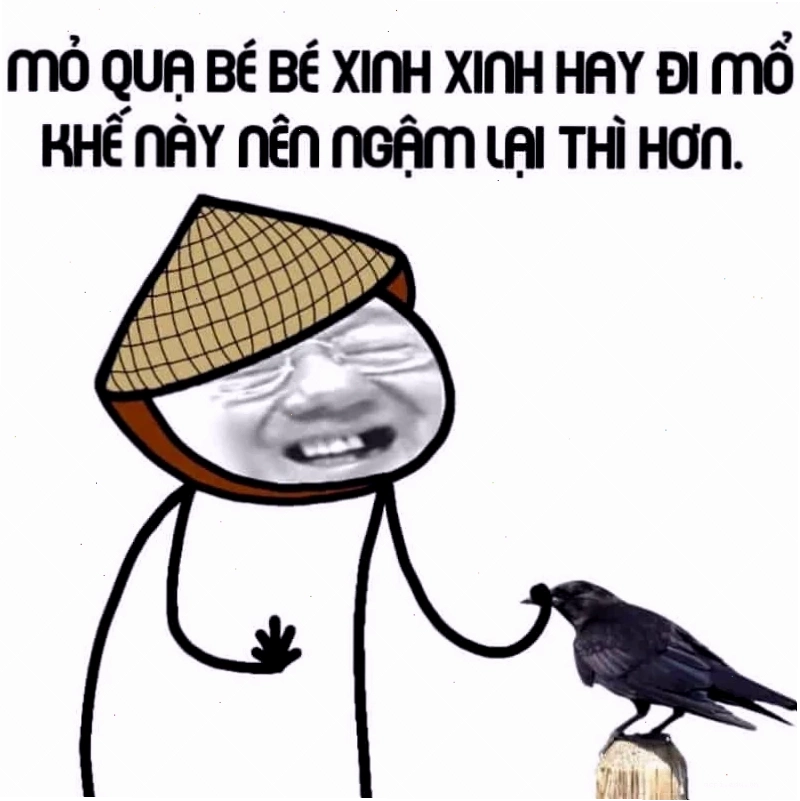 meme tiếng việt cười