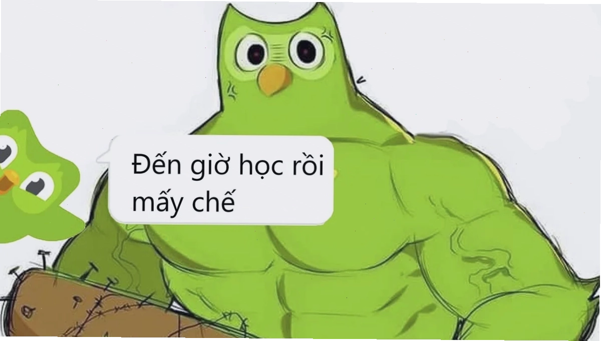 meme tiếng việt đỉnh cao
