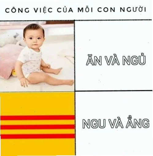 meme tiếng việt độc