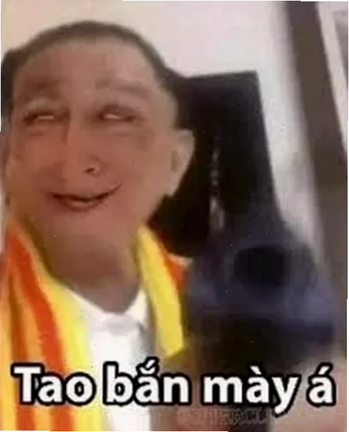 meme tiếng việt đời thường