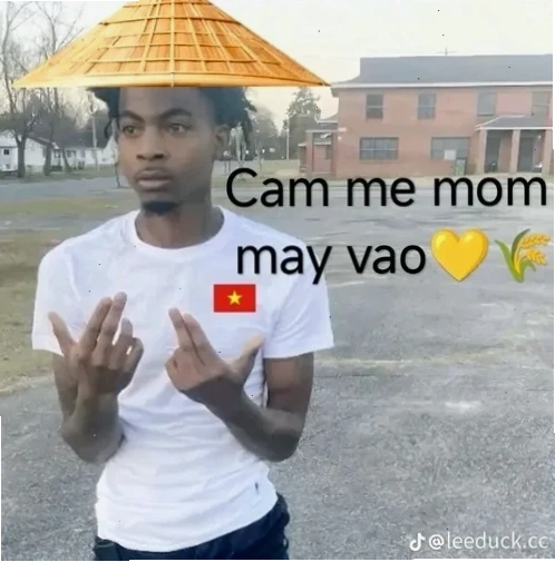 meme tiếng việt hay