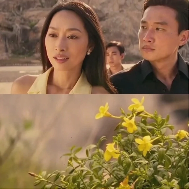 meme tiếng việt hot