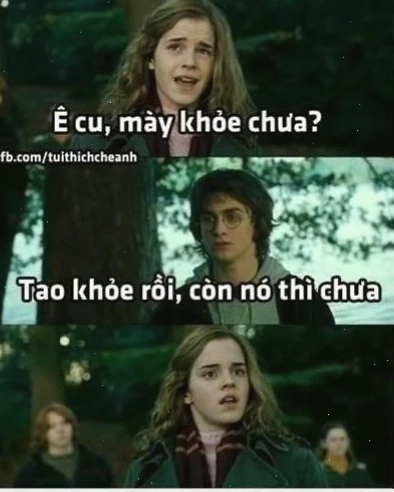 meme tiếng việt kinh điển