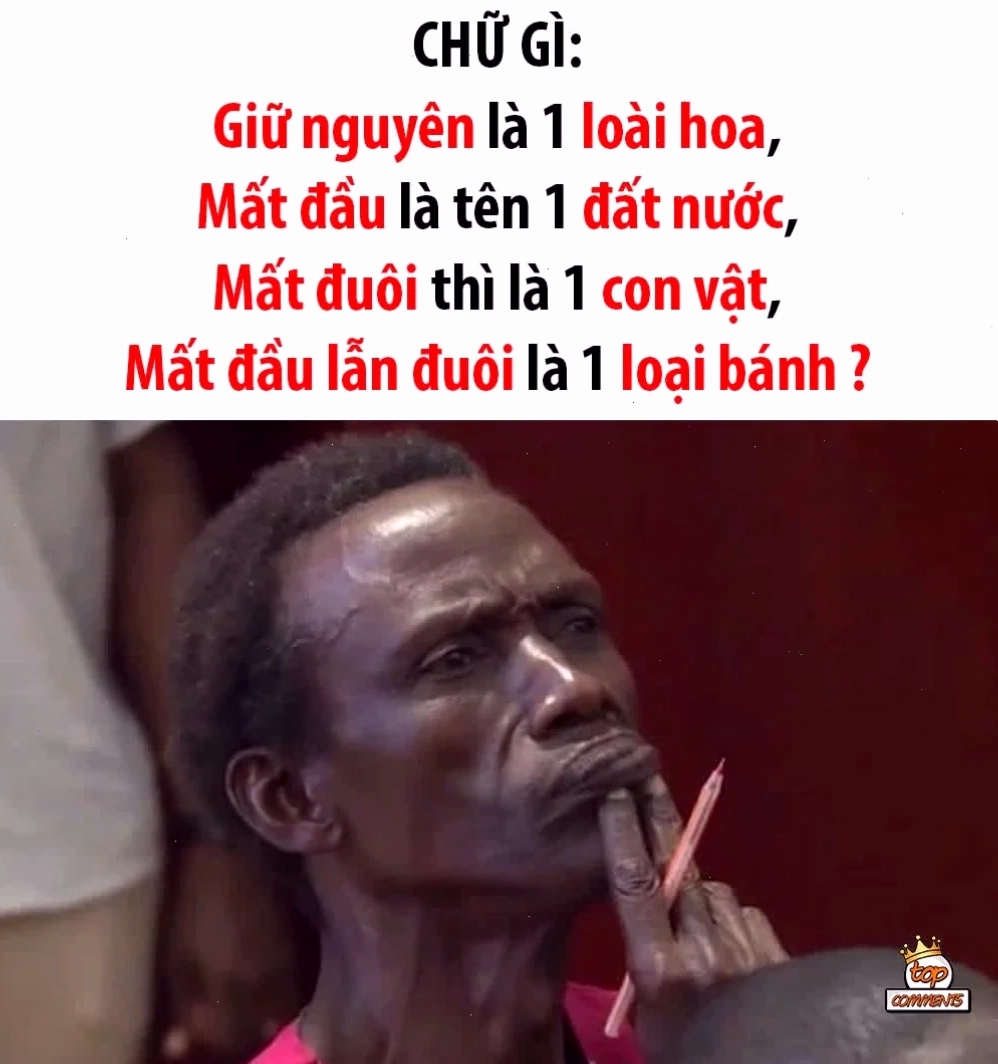 meme tiếng việt sáng tạo
