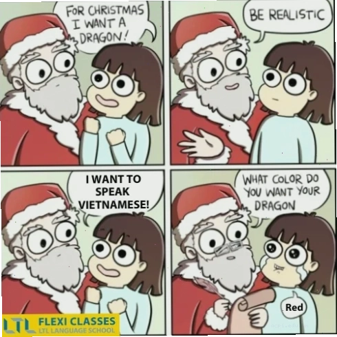meme tiếng việt thú vị