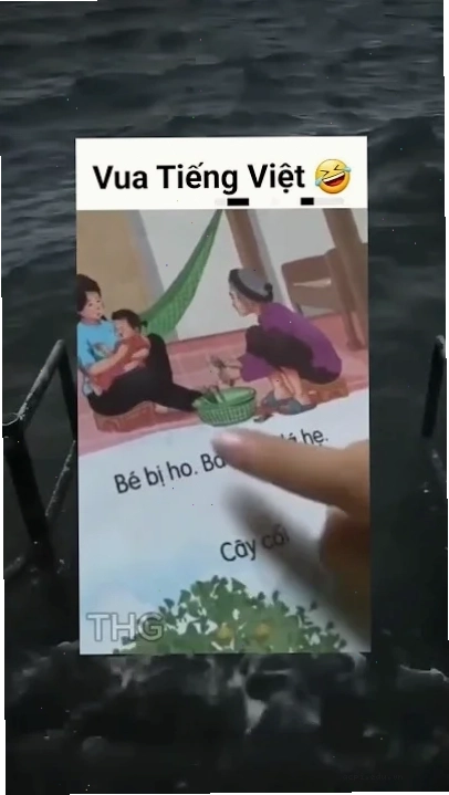 meme tiếng việt troll