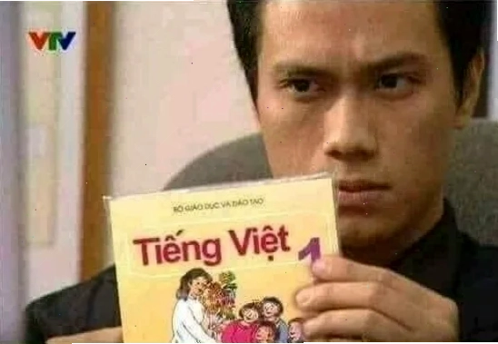 meme tiếng việt vui vẻ