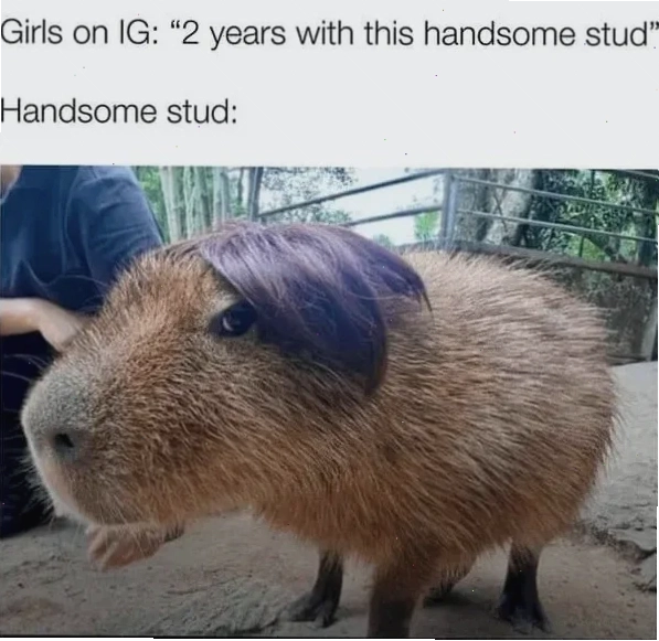 Meme tình bạn