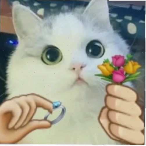 meme tình yêu bữa tối