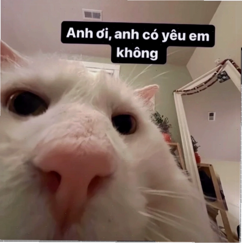 meme tình yêu cặp đôi