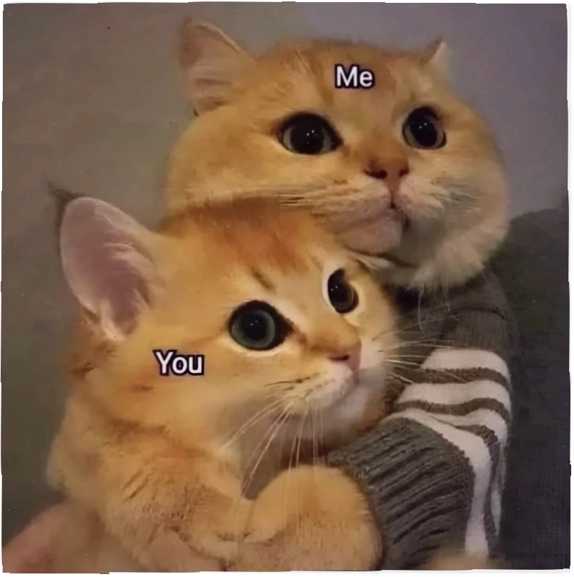 meme tình yêu hài hước