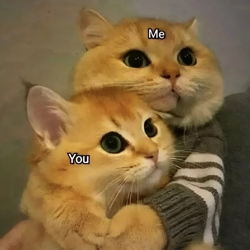 meme tình yêu hài hước