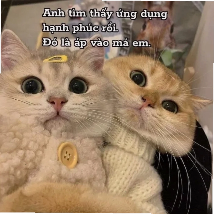 meme tình yêu hoa